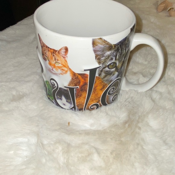 Americaware Cats Rule Feline Assorted Cats Coffee Mug Tea Cup - Picture 3 of 5